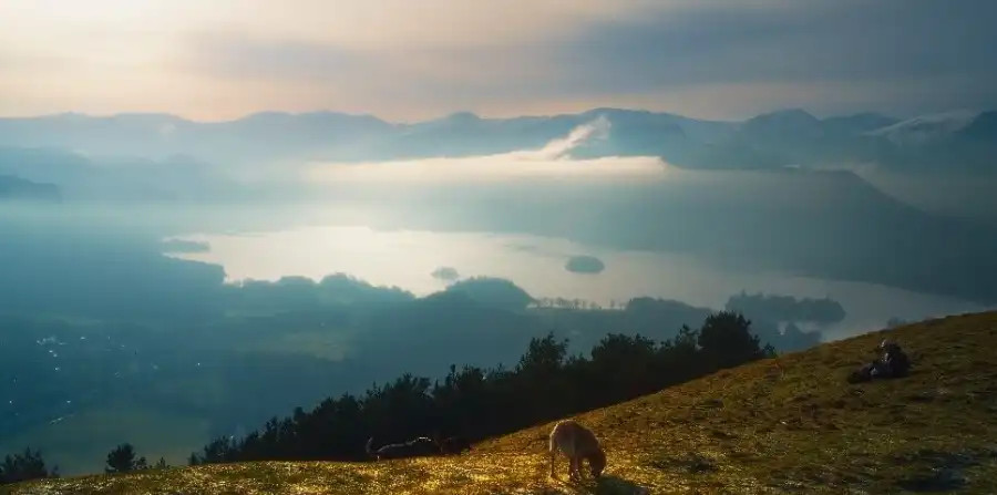A view of Derwentwater and Keswick from the top of Latrigg